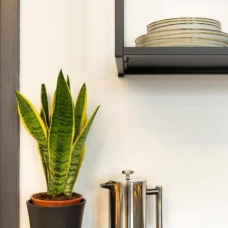 Am Malerweg Altstadt Πίρνα