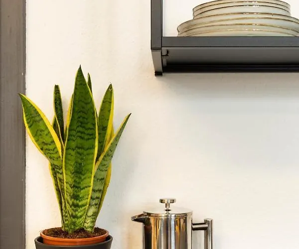 Am Malerweg Altstadt Pirna